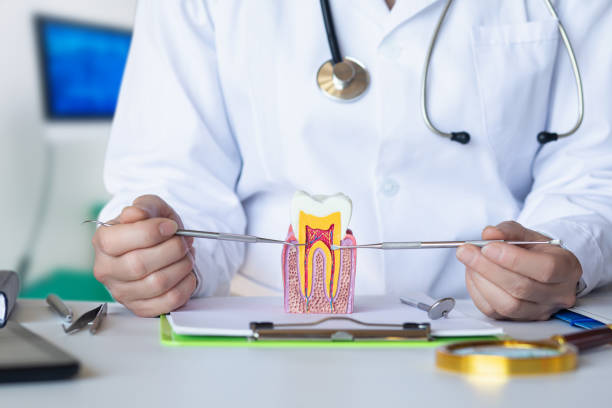 Best Urgent Tooth Repair  in Farmington, MS